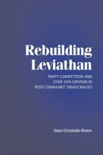 Rebuilding Leviathan