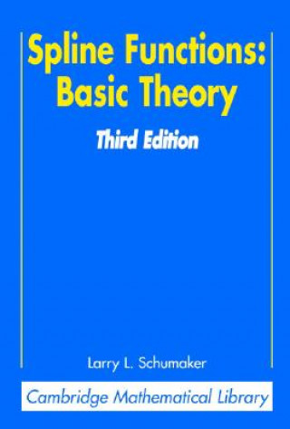 Spline Functions: Basic Theory