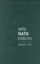 Why NATO Endures