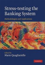 Stress-testing the Banking System