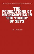 Foundations of Mathematics in the Theory of Sets