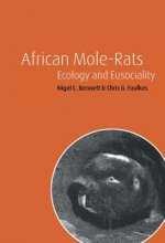 African Mole-Rats