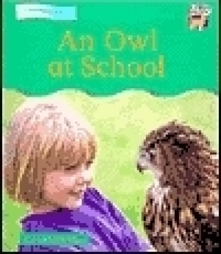An Owl at School