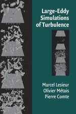 Large-Eddy Simulations of Turbulence