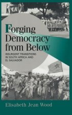 Forging Democracy from Below