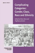 Complicating Categories: Gender, Class, Race and Ethnicity
