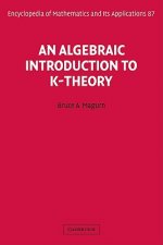 Algebraic Introduction to K-Theory