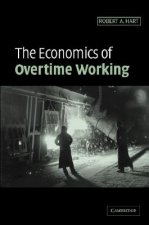 Economics of Overtime Working