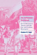 Unfinished Revolution