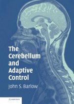 Cerebellum and Adaptive Control