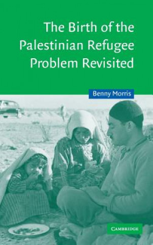 Birth of the Palestinian Refugee Problem Revisited