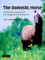 Domestic Horse