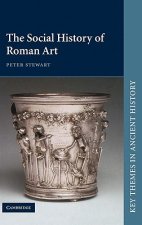 Social History of Roman Art