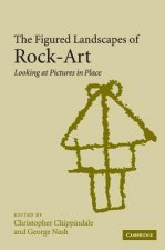 Figured Landscapes of Rock-Art
