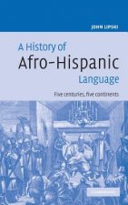 History of Afro-Hispanic Language