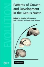 Patterns of Growth and Development in the Genus Homo