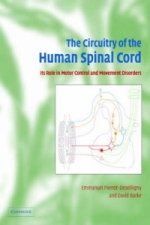 Circuitry of the Human Spinal Cord