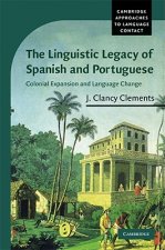 Linguistic Legacy of Spanish and Portuguese
