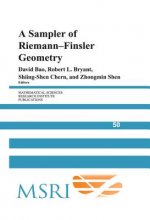 Sampler of Riemann-Finsler Geometry