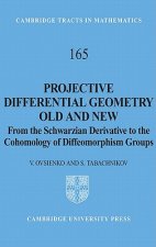 Projective Differential Geometry Old and New