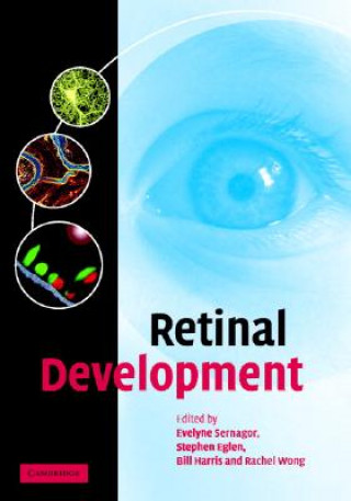Retinal Development
