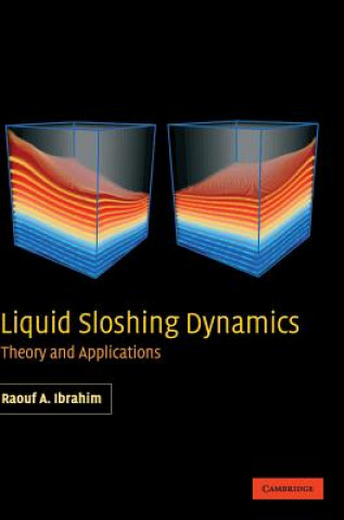 Liquid Sloshing Dynamics