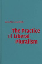 Practice of Liberal Pluralism