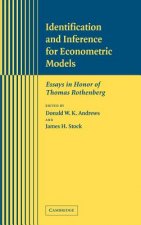 Identification and Inference for Econometric Models