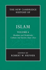 New Cambridge History of Islam