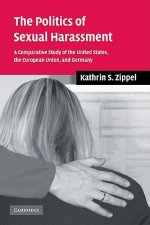 Politics of Sexual Harassment