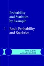 Probability and Statistics by Example: Volume 1, Basic Probability and Statistics