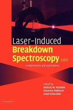 Laser Induced Breakdown Spectroscopy