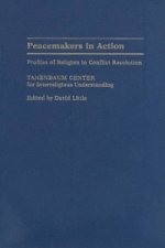 Peacemakers in Action