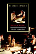 Cambridge Companion to Brian Friel