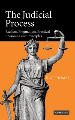 Judicial Process