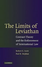 Limits of Leviathan