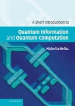 Short Introduction to Quantum Information and Quantum Computation