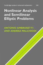 Nonlinear Analysis and Semilinear Elliptic Problems