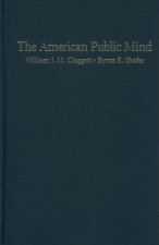 American Public Mind