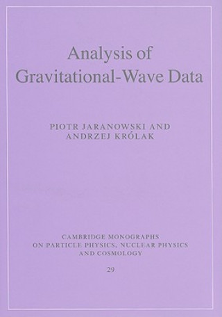 Analysis of Gravitational-Wave Data