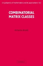 Combinatorial Matrix Classes