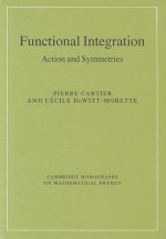 Functional Integration