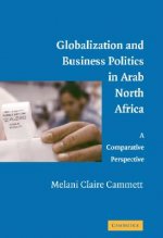 Globalization and Business Politics in Arab North Africa