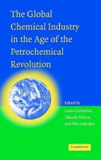 Global Chemical Industry in the Age of the Petrochemical Revolution