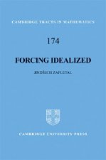 Forcing Idealized