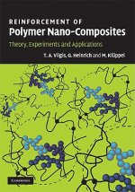 Reinforcement of Polymer Nano-Composites