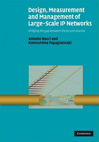 Design, Measurement and Management of Large-Scale IP Networks