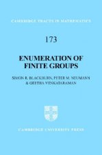 Enumeration of Finite Groups