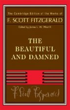 Fitzgerald: The Beautiful and Damned