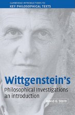 Wittgenstein's Philosophical Investigations